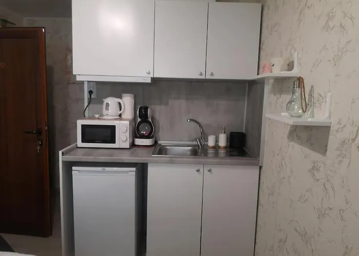 Centrally-located Near The Sea Garden Apartament